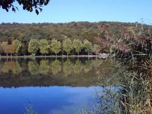 Hotel Restaurent Des Lacs - Photo 2