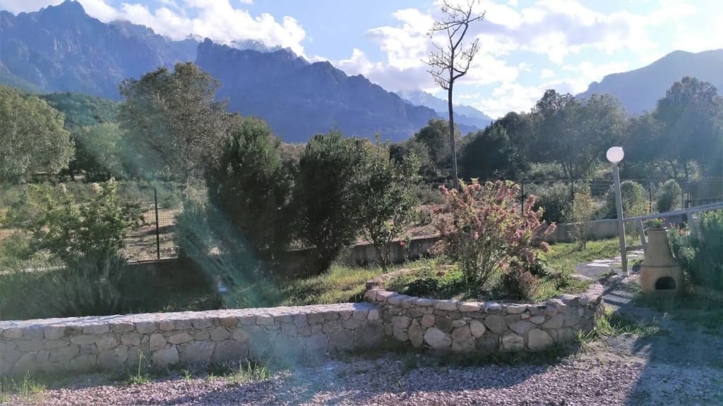 E Canicce - Photo 1