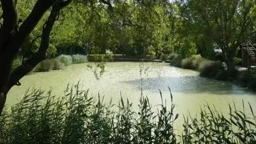Manoir Ville Davy - Photo 4