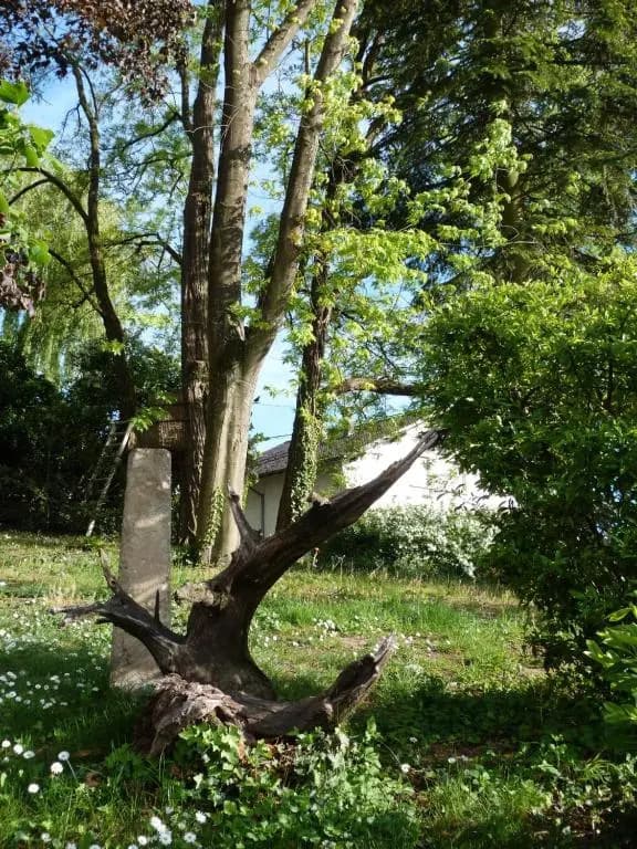 Gîte d'Maïsala Les Mésanges - Photo 2
