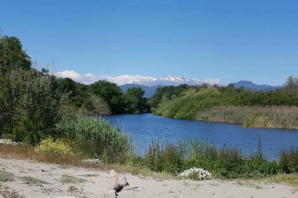 MARINE DE Bravone pieds dans l'eau - Photo 4