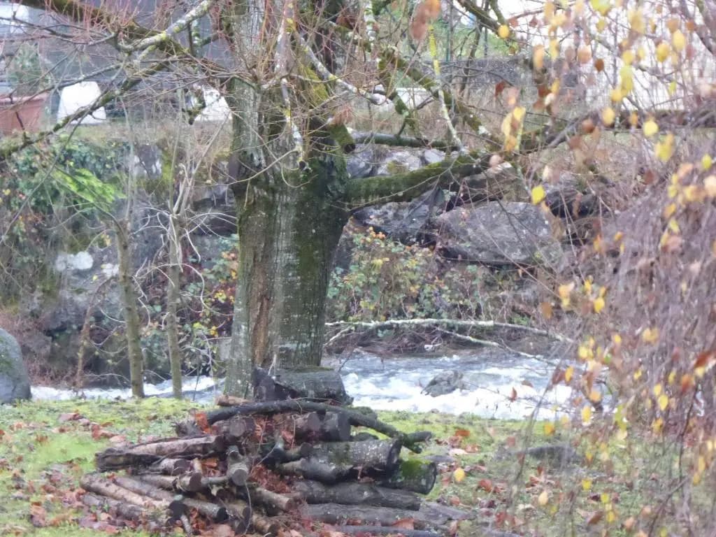 Les Berges Du Gave D'azun - Miniature 6