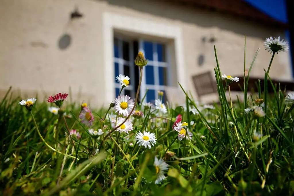 Domaine de Matounet - Photo 1