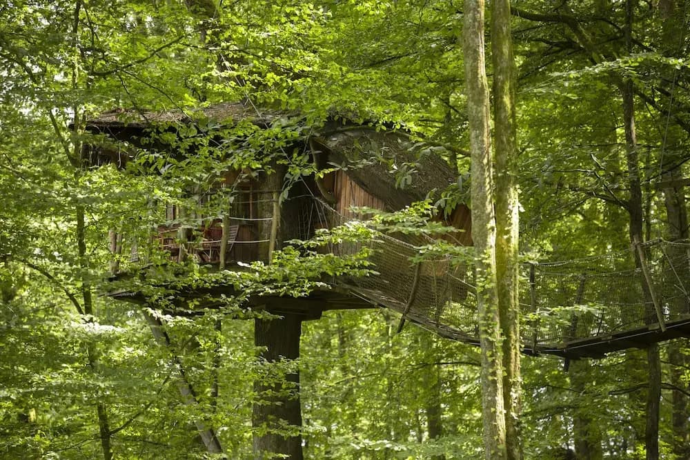 L'Arbre à Cabane - Miniature 7