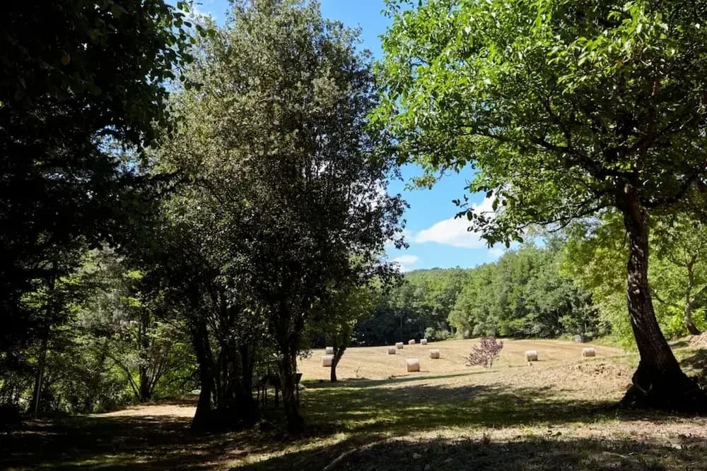 Le Gîte étoilé - Photo 4