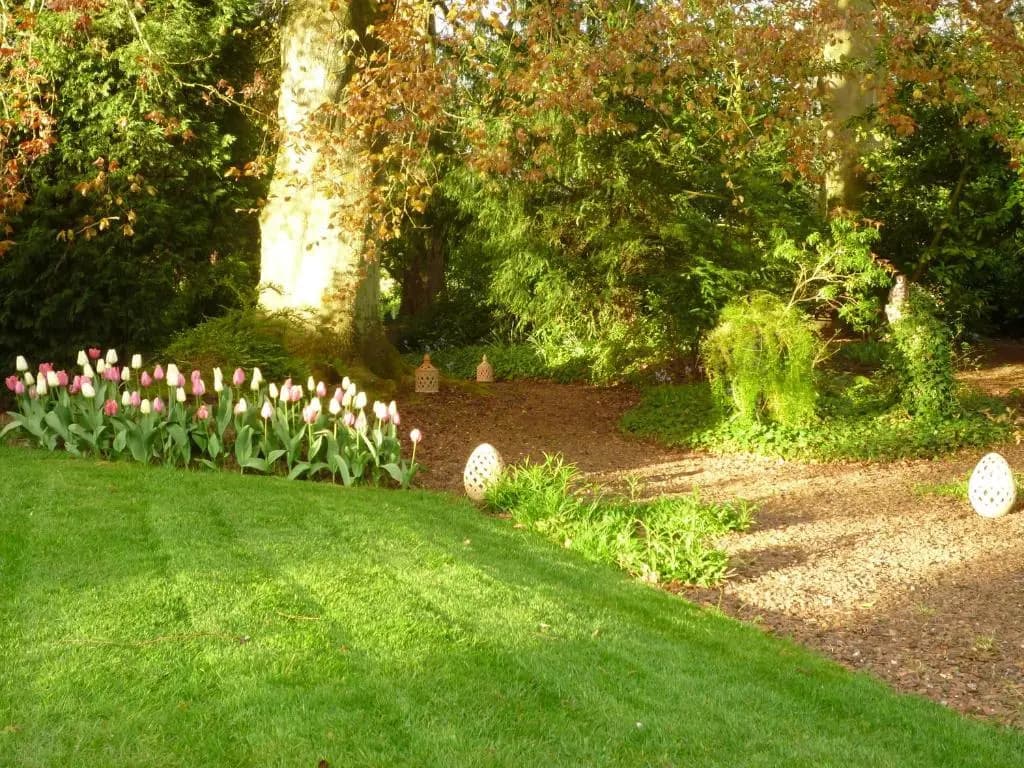 au vieux cèdre - Photo 1