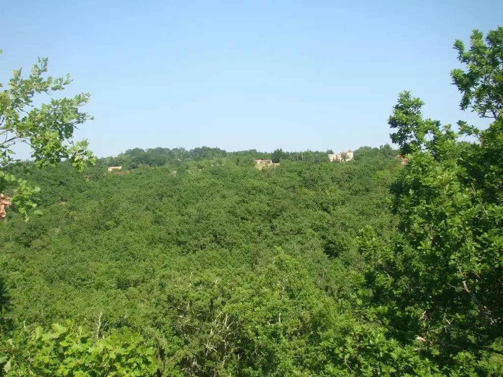 CAMPING LES GRAVES - Cabane TITHOME - Photo 1