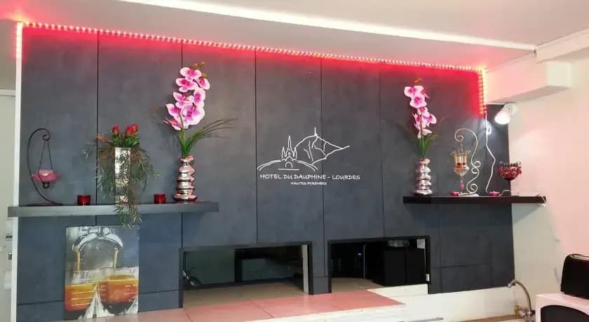 Adonis Lourdes Hotel Dauphin - Photo 1