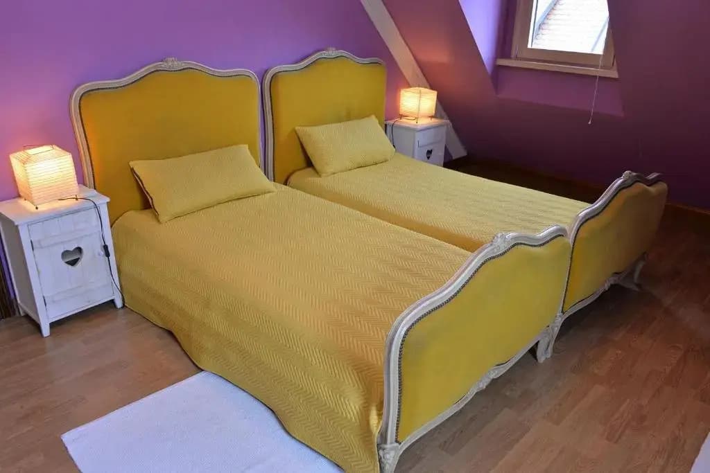 S'harzala Jaune - Photo 5