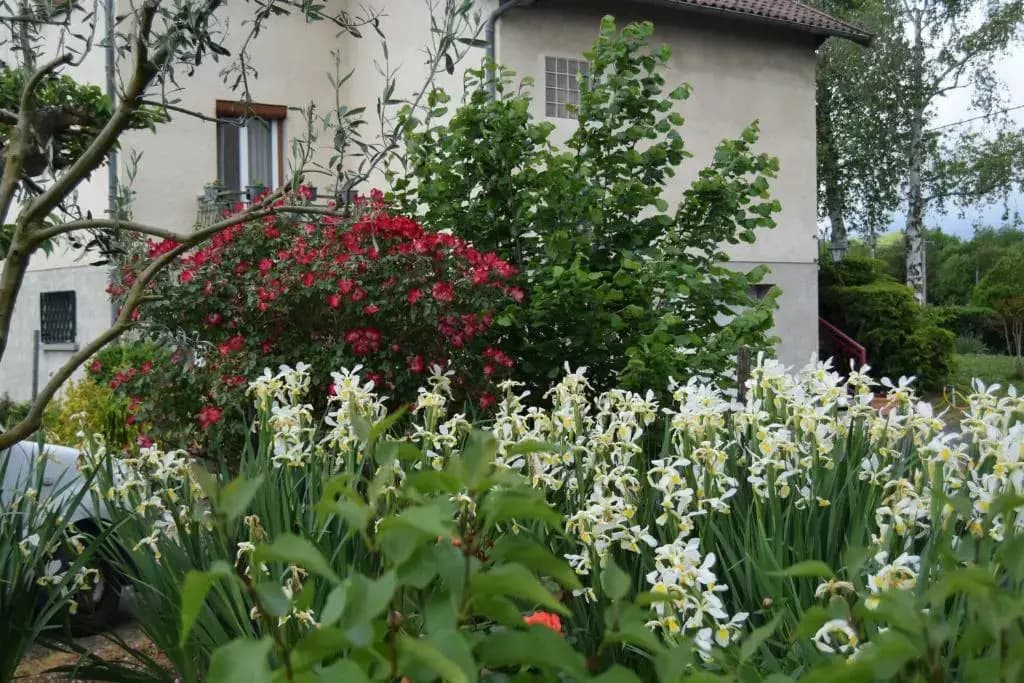 Le Nid de l'Ecureuil - Photo 3