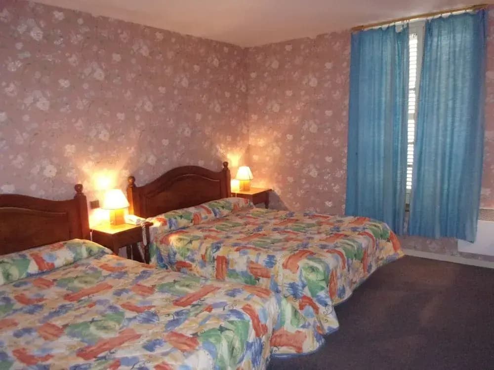 Jackotel Orleans - Miniature 7