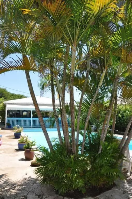 Cap Sud Caraïbes Hôtel - Miniature 8