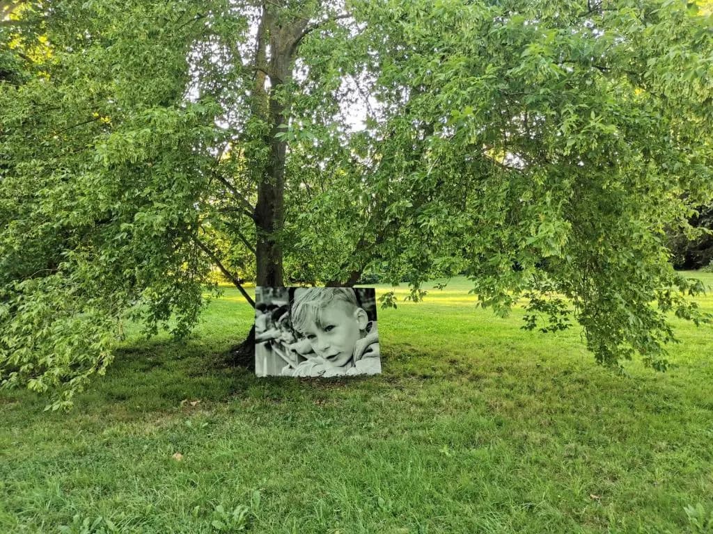 Domaine de Penthièvre - Photo 1