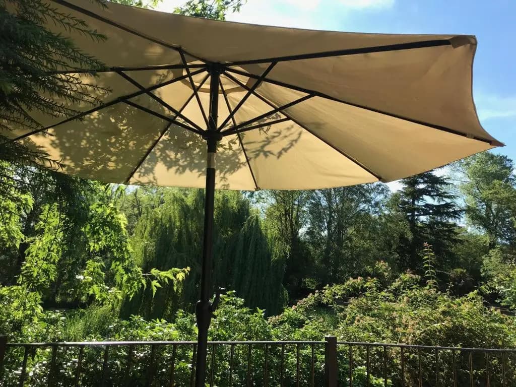 Le Domaine de Gorneton - Photo 4