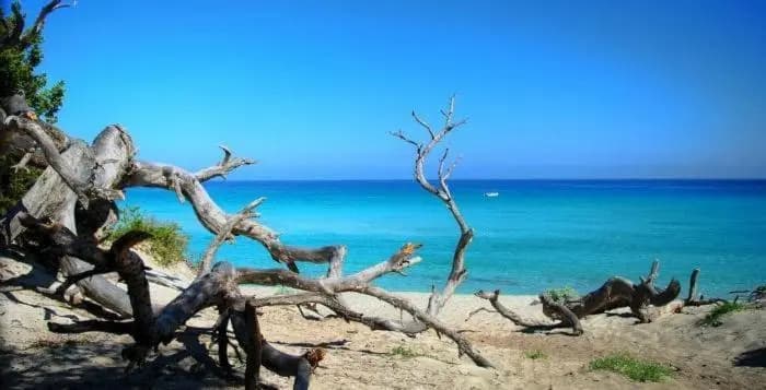 Sognu di Mare - Plage et piscine sur place - Photo 1
