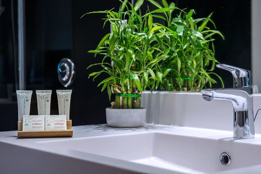 C Suites - Miniature 7