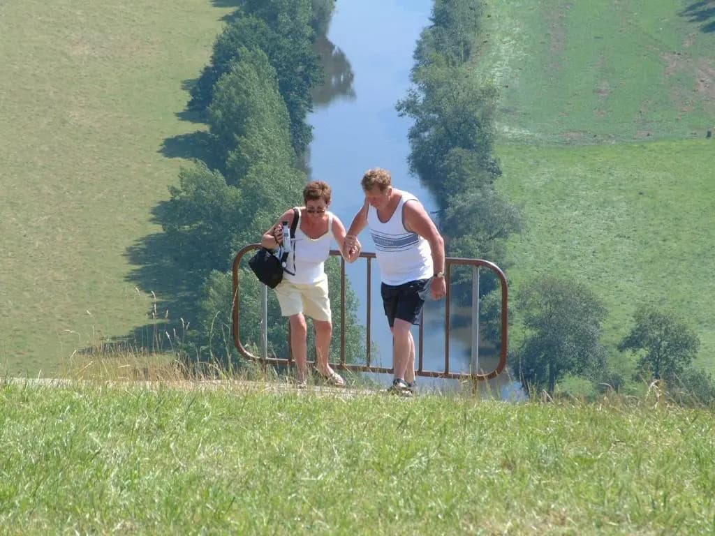 La Vieille Ferme - Photo 3
