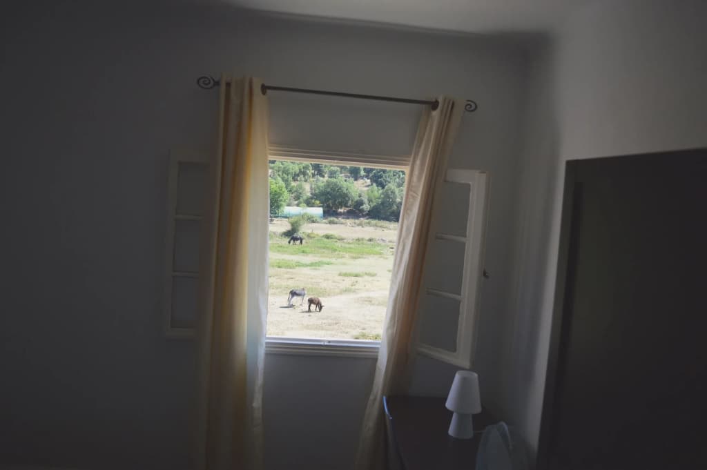 Le Riviera - Photo 2