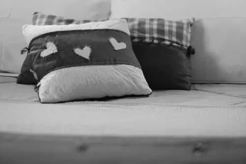 Aurelia - Photo 2