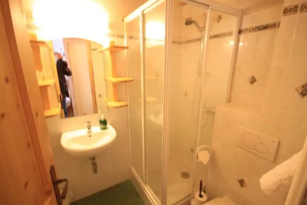 Chalet Aconits - Miniature 7