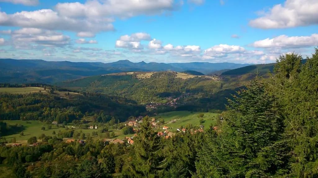 Maison independante de montagne en ALSACE - Photo 4