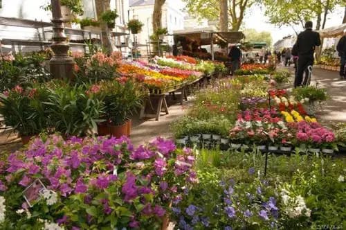 Champoiseau - Photo 2