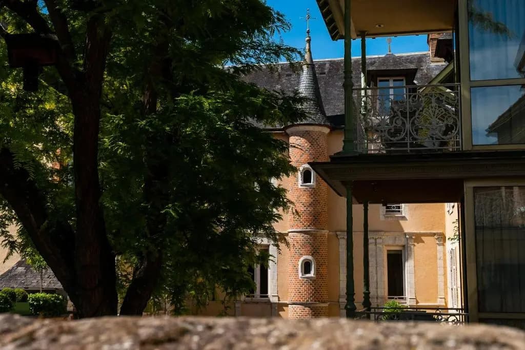 Lion d'Or 1774 - Châteaux de la Loire - Photo 1