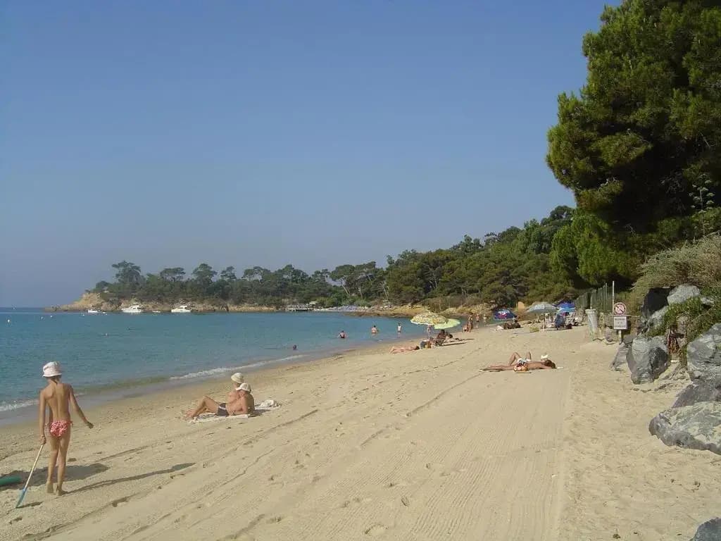 Carpe Diem - Photo 3