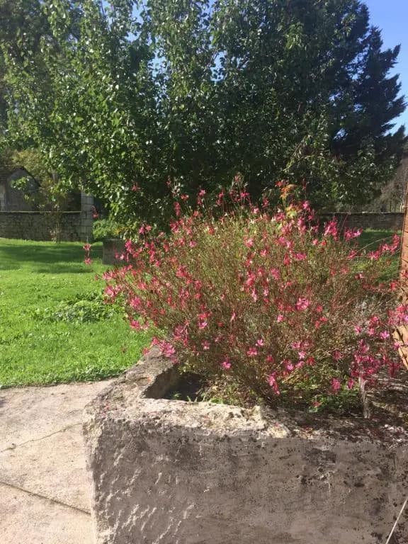 Gîte Rouge Calme et Nature - Photo 2
