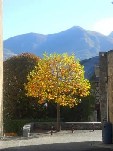 Hôtel Les Rochers - Photo 3