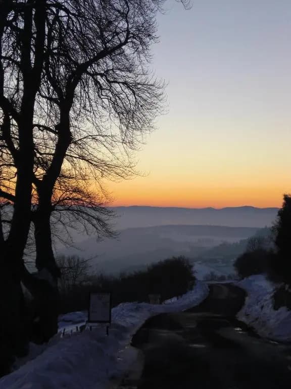 Espace Nature de Sabatoux - Photo 3