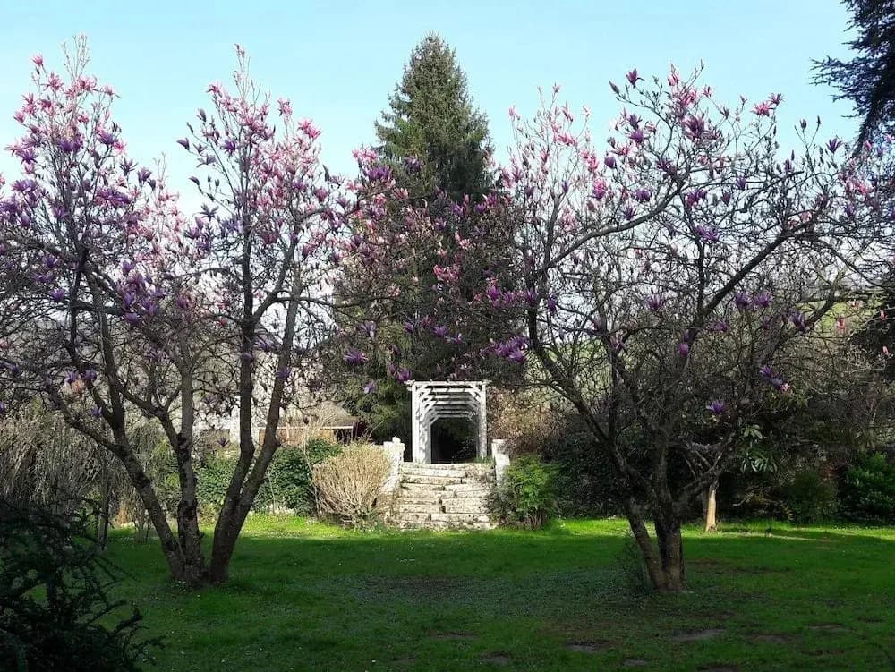 Maison d'Hôtes Le Grand Cedre - Miniature 6