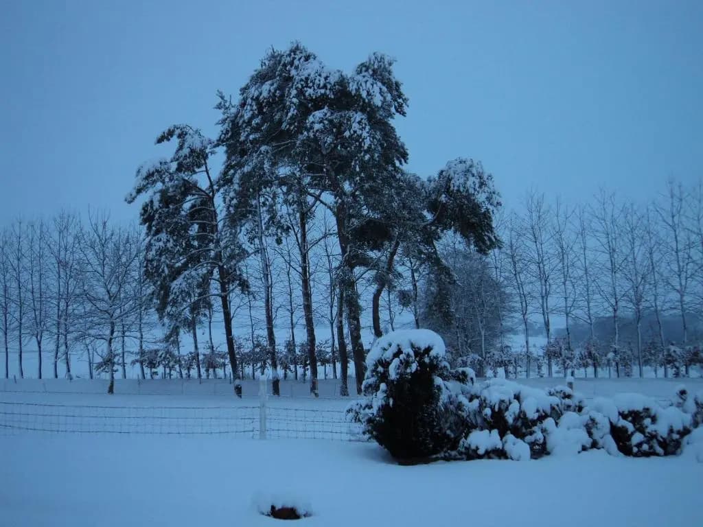 La Demeure - Photo 3