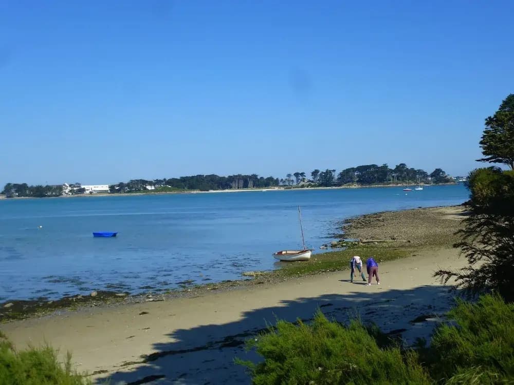 180deg Panoramic sea View, Apartment, Roscoff - Miniature 8