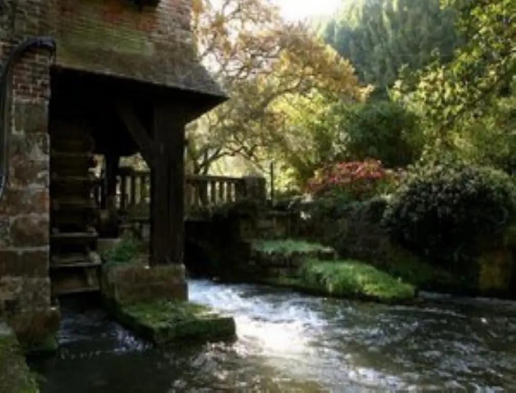 Le Moulin Fleuri Du Petit Appeville - Miniature 8