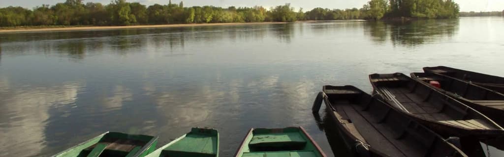 Domaine de la Roche Bellin - Photo 2