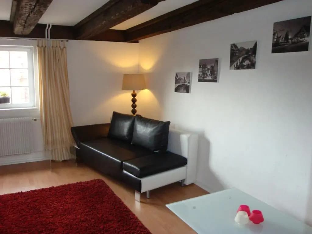 NEW ! Sur les Quais de Colmar avec parking inclus 1710 - Photo 4