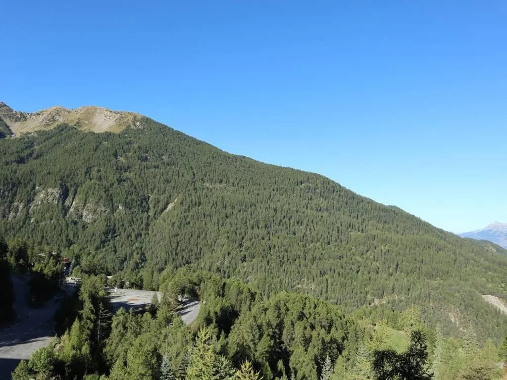 Appartement Les Orres, 2 pièces, 8 personnes - FR-1-322-87 - Miniature 8