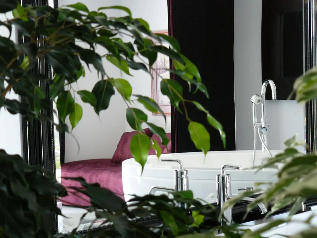 La Villa Cécile - Miniature 6