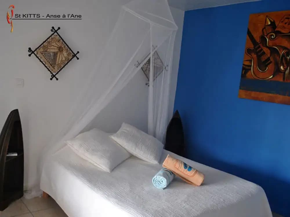 CoCoKreyol Saint Kitts & Nevis - Photo 2