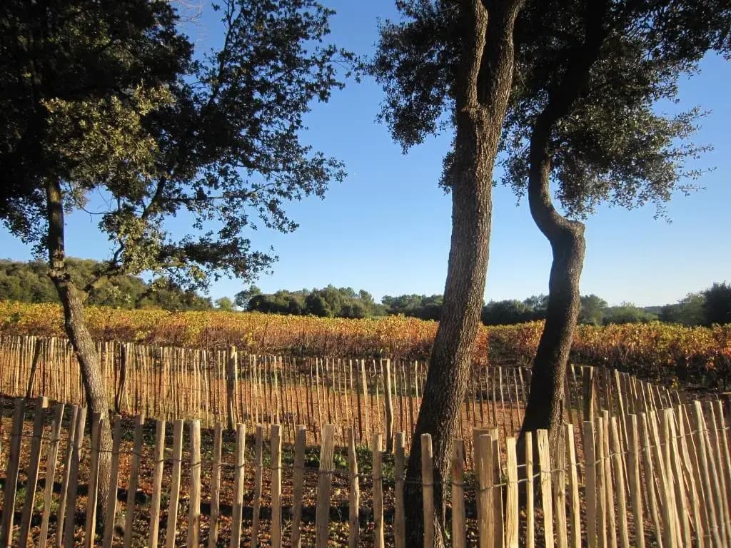Les Cabanes de Carelle - Photo 4