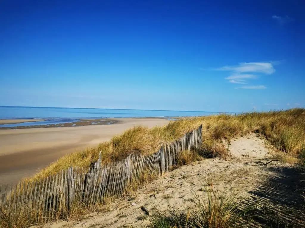 Appartement à 50 mètres de la mer - Les embruns - Miniature 8