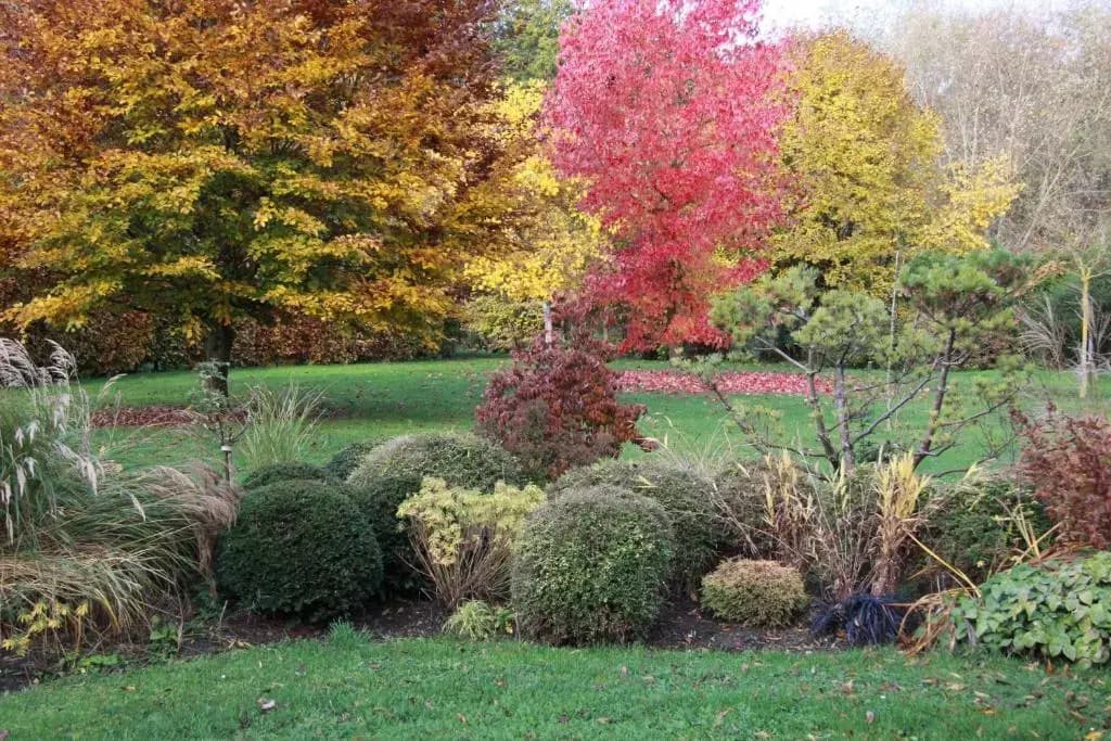 Les Jardins de L'Aulnaie - Photo 2