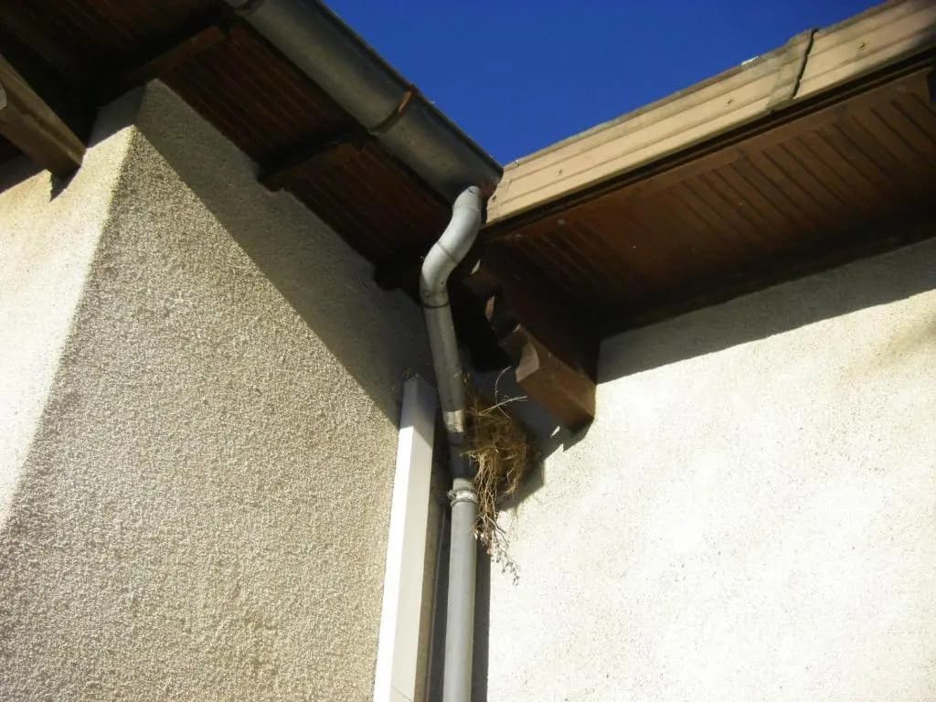 Le Nid de l'Ecureuil - Photo 5