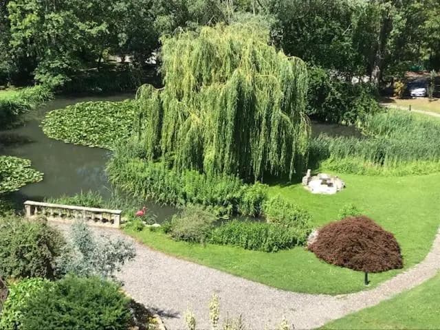Le Domaine de Gorneton - Photo 2