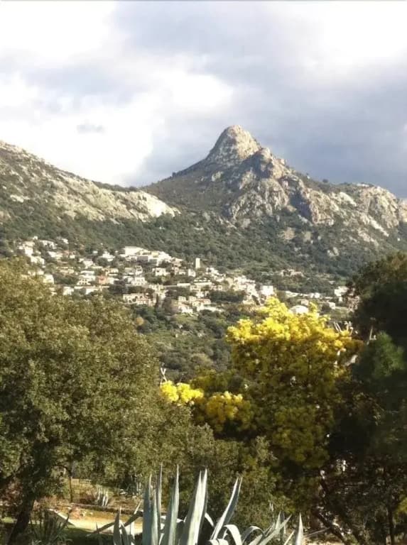 Monte Ortu - Photo 4