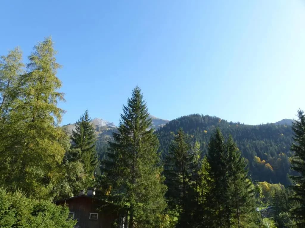 Appartement La Clusaz, 2 pièces, 4 personnes - FR-1-437-68 - Photo 4