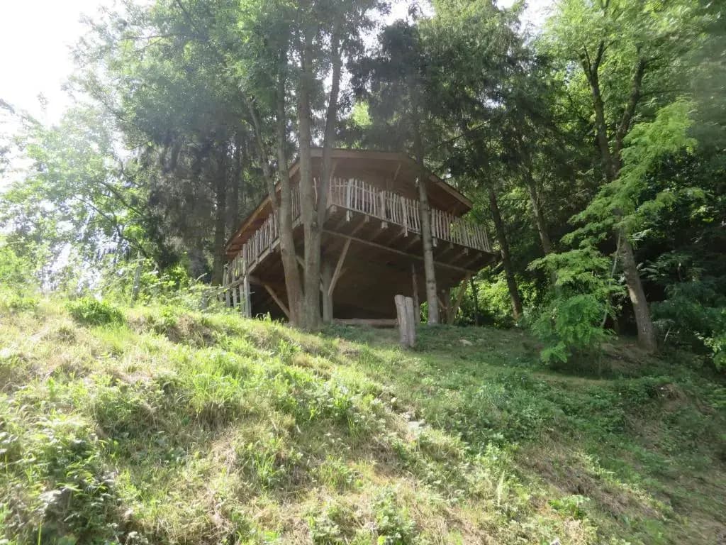 La Cabane aux Sapins - Photo 4
