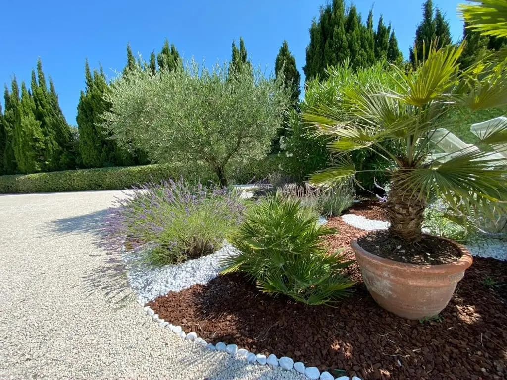 Mas De LEstello - Miniature 6