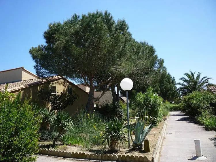 Holiday Home Les Capellanes - Photo 5